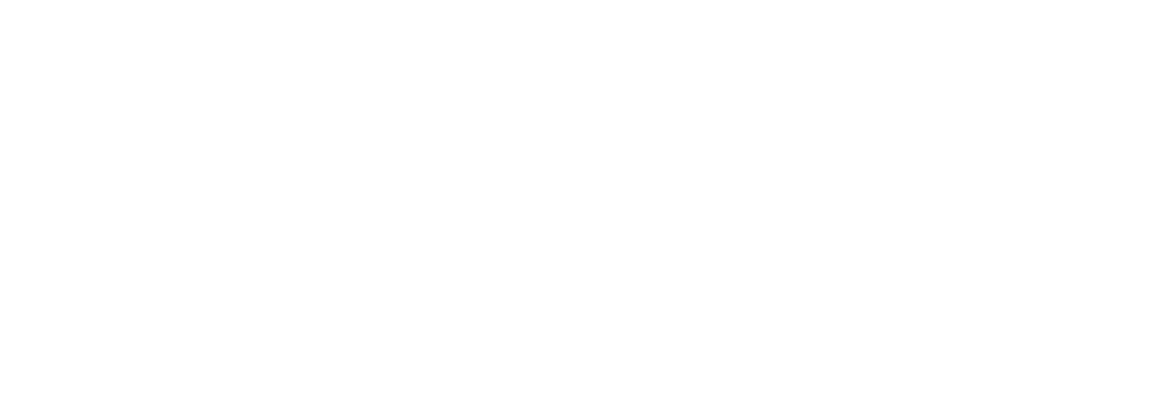 Logo Business Webinar Replay Blanc